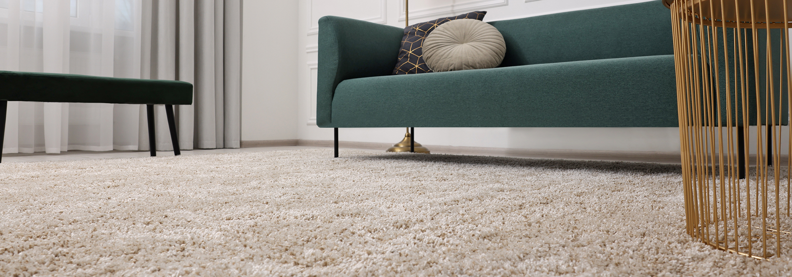 Shopping for Carpet?